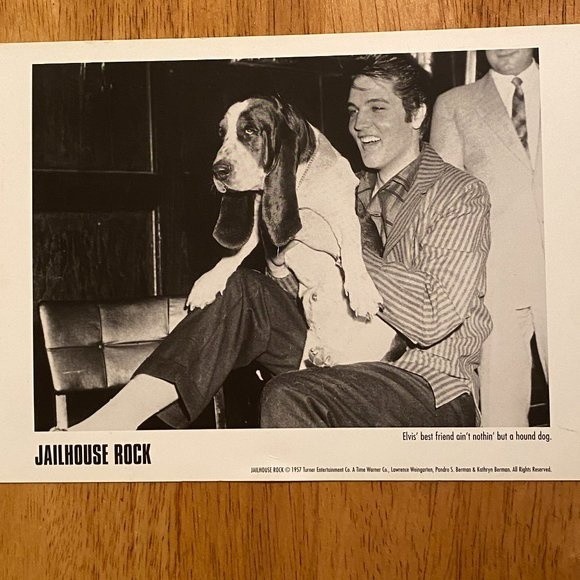 Jailhouse Rock Elvis' best friend ain't nothin' but a hound dog - Picture 1 of 5